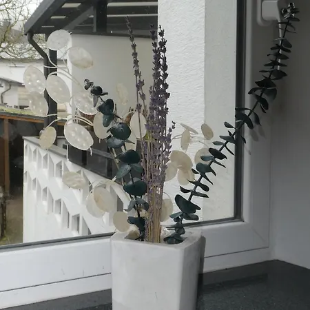 Trappe's Maar-haeuschen *