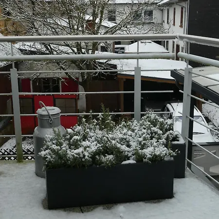 Trappe's Maar-haeuschen * Ulmen