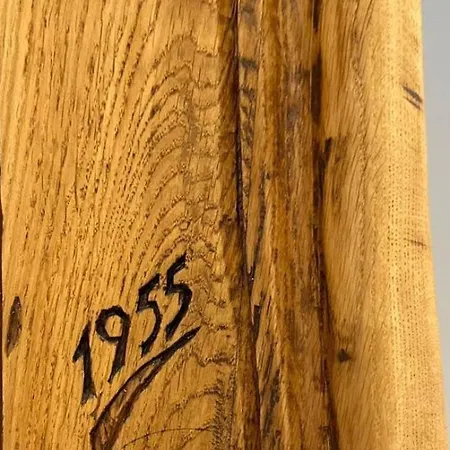 Trappe's Maar-haeuschen Ulmen